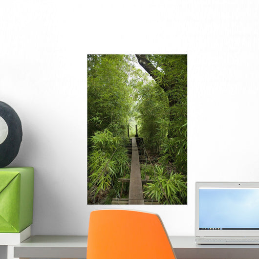 Hawaii, Maui, Waihee, A swinging Bridge into a lush green forest Wall Mural