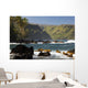 Hawaii, Maui, Keanae Peninsula, Ocean and palm trees Wall Mural
