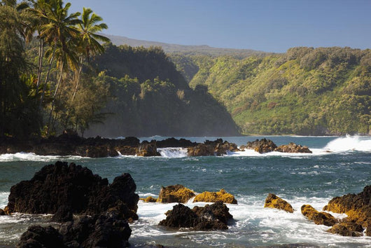 Hawaii, Maui, Keanae Peninsula, Ocean and palm trees Wall Mural