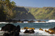 Hawaii, Maui, Keanae Peninsula, Ocean and palm trees Wall Mural