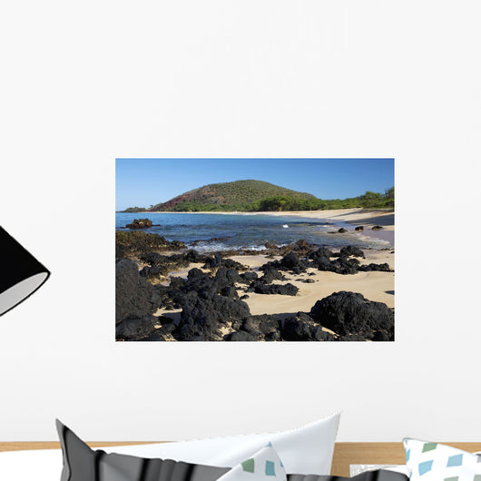 Hawaii, Maui, Volcanic rocks at Big Beach Wall Mural