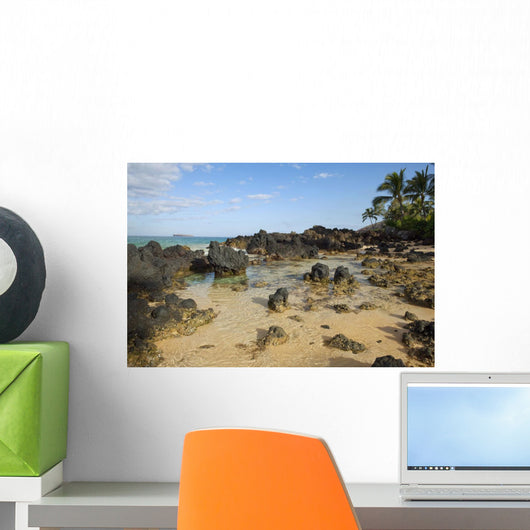 Hawaii, Maui, Makena, Beautiful clear ocean among lava rock Wall Mural