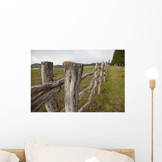 Hawaii, Lanai, A wooden fence on a green pasture Wall Mural
