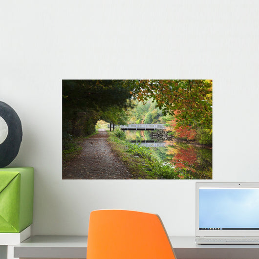 Pathway and bridge near river Wall Mural