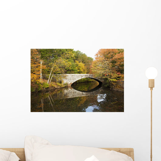 Bridge over river in autumn Wall Mural