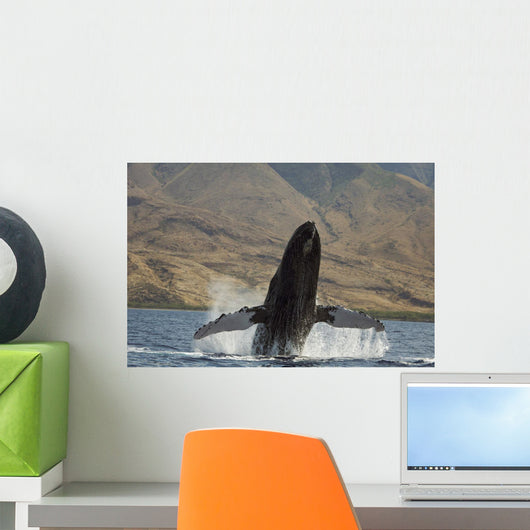 Propelling its body from the ocean Wall Mural