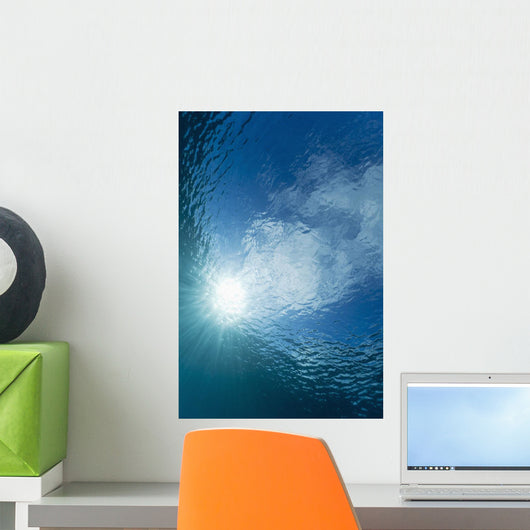 Sunlight streaming through the surface of the Pacific Ocean Wall Mural