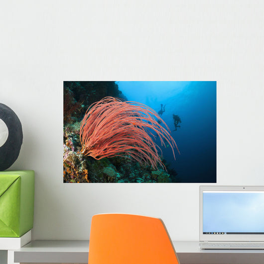 Indonesia, Divers and whip coral on ther reef Wall Mural