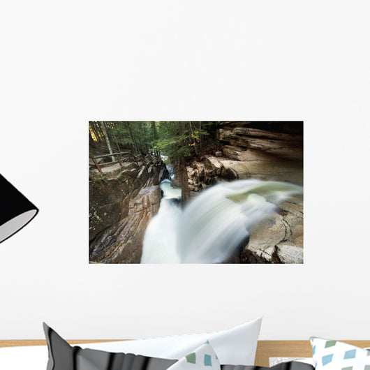 A forest waterfall Wall Mural