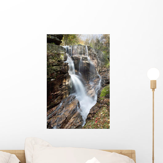 A forest waterfall Wall Mural
