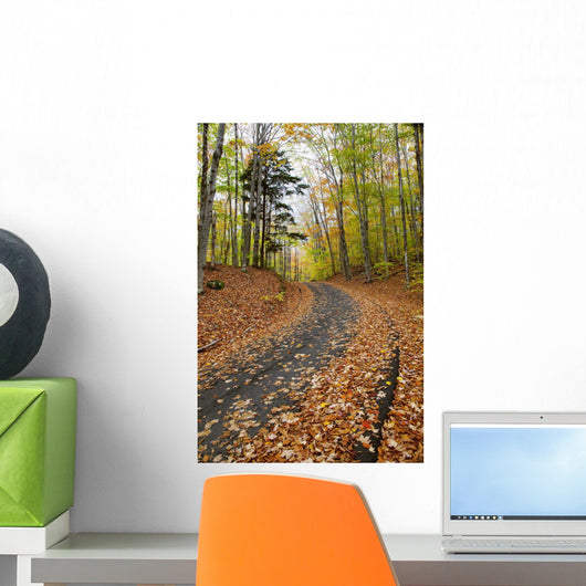 Path in forest during autumn Wall Mural
