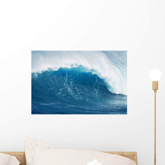 also known as 'Jaws' Wall Mural