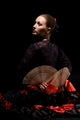 Flamenco Wall Mural