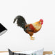 Colorful Beautiful Male Rooster Wall Decal