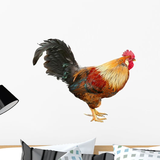 Colorful Beautiful Male Rooster Wall Decal