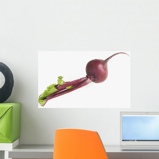 Full Length Studio Shot Of Beet Wall Mural
