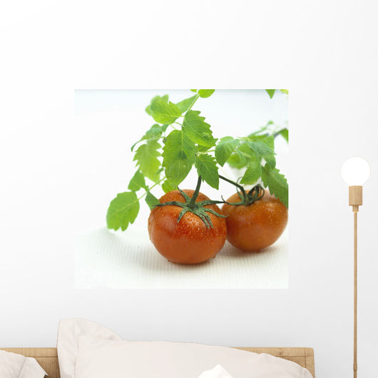 Fresh Wet Red Tomatoes On White Background Wall Mural
