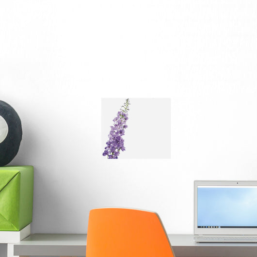Close-Up Of Lavender Flower Wall Mural