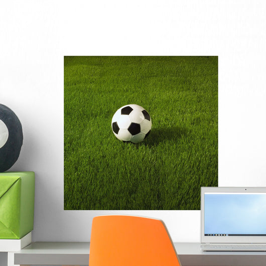 Soccer Ball On Grass Wall Mural