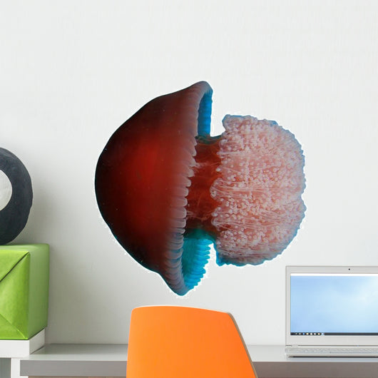 Live Red Blue Jellyfish Wall Decal