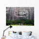 Stone Mountain near Atlanta Wall Decal