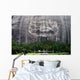 Stone Mountain near Atlanta Wall Decal
