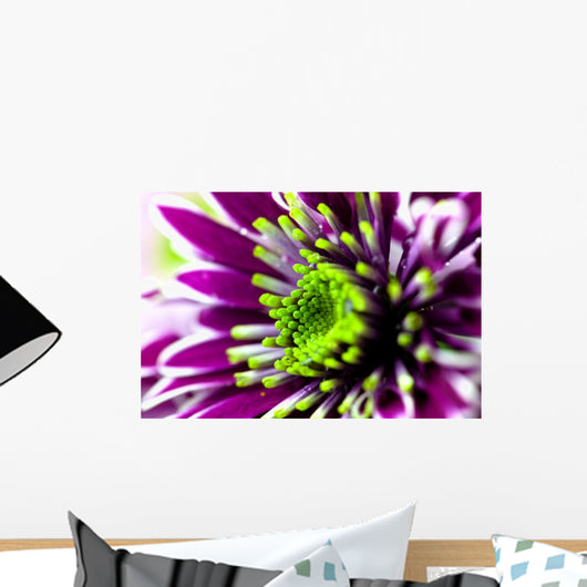 Up Purple Aster