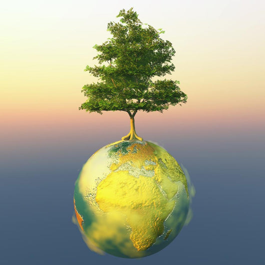 Planet Wall Mural