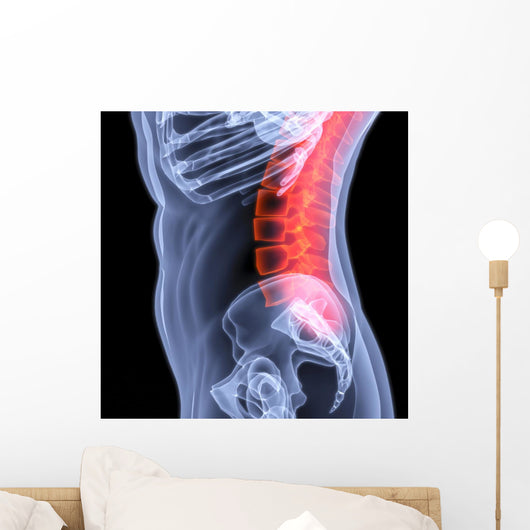 Spine Wall Mural