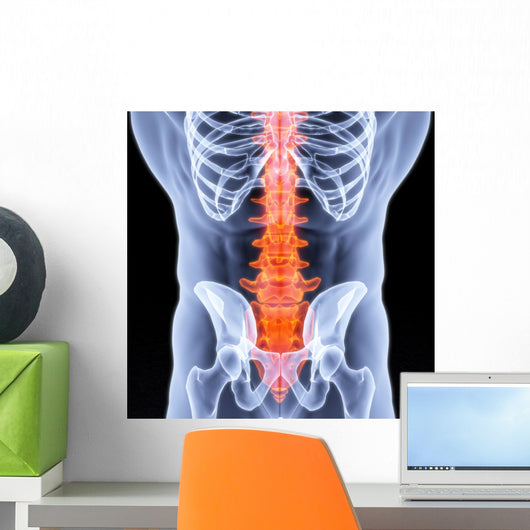 spine Wall Mural