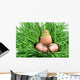 Nestling and Shell Eggshell Wall Mural