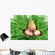 Nestling and Shell Eggshell Wall Mural