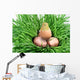 Nestling and Shell Eggshell Wall Mural