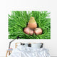 Nestling and Shell Eggshell Wall Mural