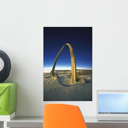 Sunset Arctic Ocean Whale Wall Decal