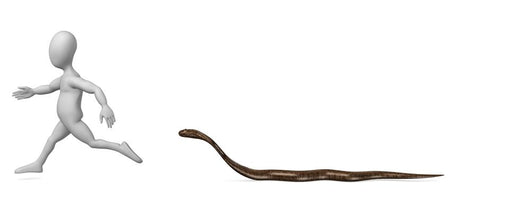 Cobra Wall Decal