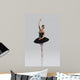 Beautiful Ballet