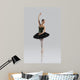 Beautiful Ballet