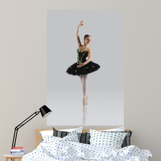 Beautiful Ballet