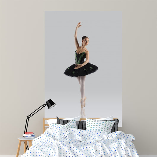 Beautiful Ballet