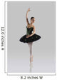 Beautiful Ballet