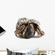 Hermit Crab Wall Decal