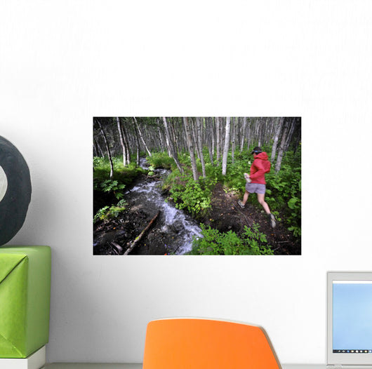 Woman Jogging Through A Birch Forest Alongside A Small Stream, Alaska Wall Mural