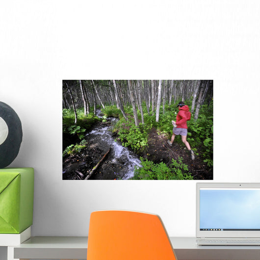 Woman Jogging Through A Birch Forest Alongside A Small Stream, Alaska Wall Mural