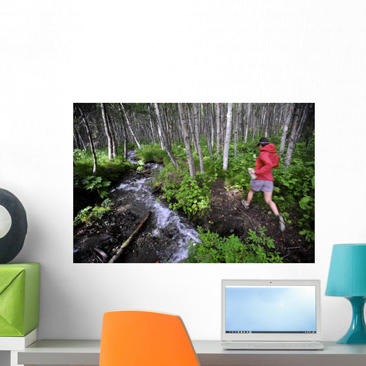 Woman Jogging Through A Birch Forest Alongside A Small Stream, Alaska Wall Mural