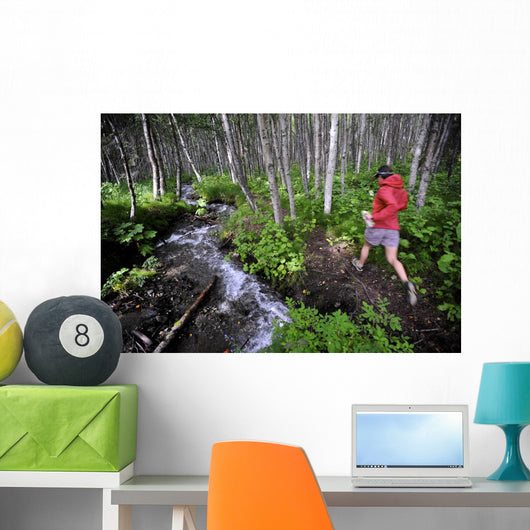 Woman Jogging Through A Birch Forest Alongside A Small Stream, Alaska Wall Mural