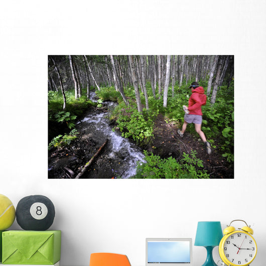Woman Jogging Through A Birch Forest Alongside A Small Stream, Alaska Wall Mural