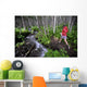Woman Jogging Through A Birch Forest Alongside A Small Stream, Alaska Wall Mural