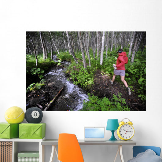 Woman Jogging Through A Birch Forest Alongside A Small Stream, Alaska Wall Mural