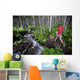 Woman Jogging Through A Birch Forest Alongside A Small Stream, Alaska Wall Mural